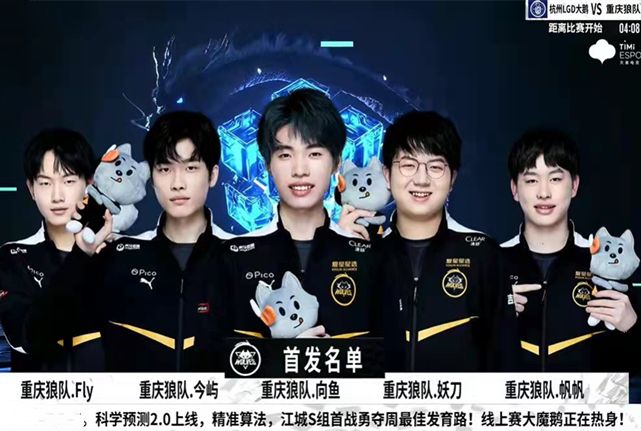 鹈鹕队的整